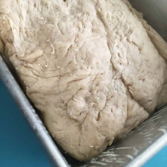 Schön feucht halten / leicht bewässern, um eine unerwünschte Haut zu vermeiden