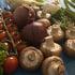 🍄 Saisonkalender April: Obst und Gemüse endlich wieder aus heimischem Anbau