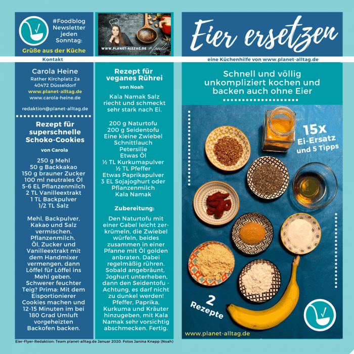 Zum Download-Bereich